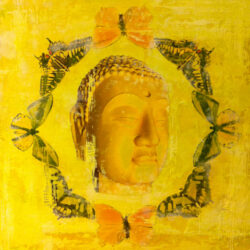 Buddha Butterflies - Yellow