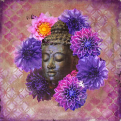 Buddha in Bloom No. 4